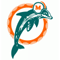 Miami logo - NBA